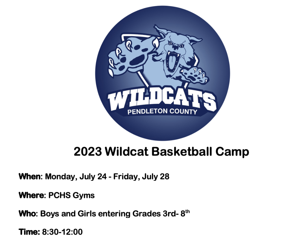 Wildcat Basketball Camp