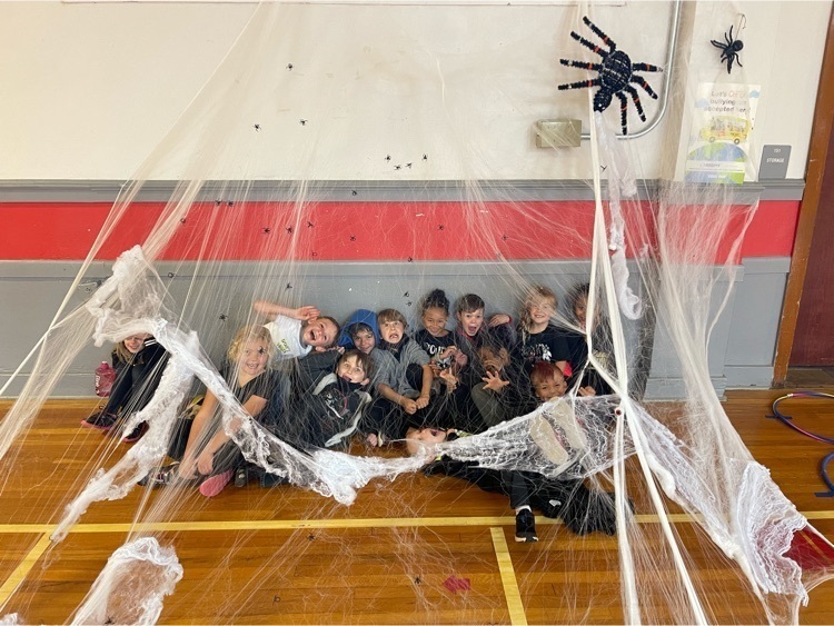 1st in web