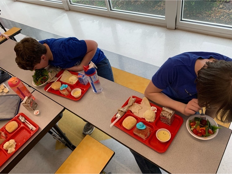 6th grade enjoying their garden tower