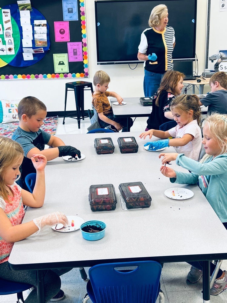 students playing with worms
